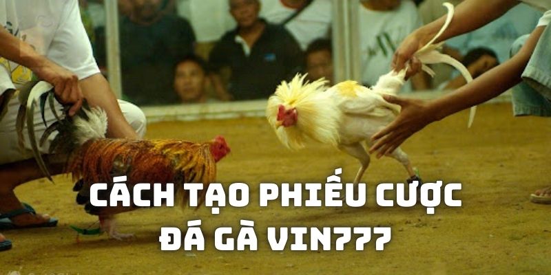 Cách tạo phiếu cược chung cho tất cả các trận chọi kê trực tuyến