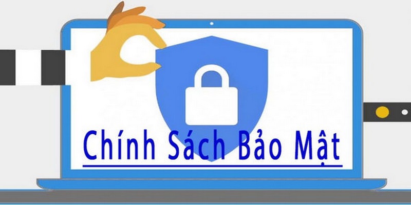 Đọc kỹ điều khoản quan trọng trong chính sách bảo mật